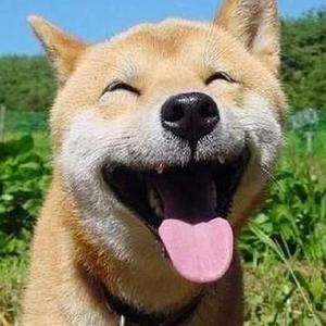 妙龄少永久免费网站
